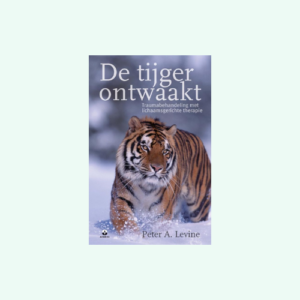 de tijger ontwaakt